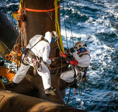 Altrad is looking to acquire Beerenberg